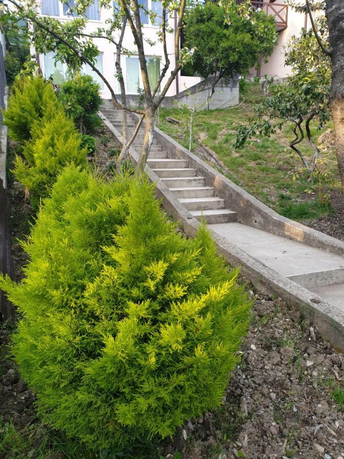 מלון New Athos Samida מראה חיצוני תמונה
